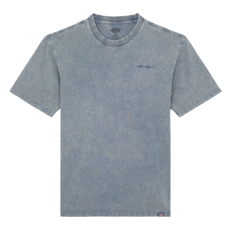 Футболка Dickies Plentywood Ss Tee DK0A866BG701 (stormy weather)
