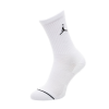 Носки Jordan Everyday Max Crew SX5545-011 (white)