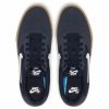 Кеды Nike SB Chron Solarsoft CD6278-400 (obsidian-white)