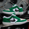 Кеды Nike SB Force 58 DV5477-300 (pine green-black-white)