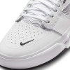 Кеды Nike Sb Ishod Prm DZ5648-101 (white-black)