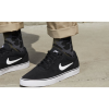 Кеды Nike SB Chron 2 DM3493-001 (black-white)