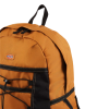 Рюкзак Dickies Ashville Backpack DK0A4Y330BD1 (brown duck)