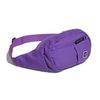 Сумка На Пояс adidas Skateboarding BB Hipbag DU8297 (active purple)