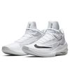 Кроссовки Nike Air Max Infuriate 2 Mid AA7066-100 (white-black-pure platinum)