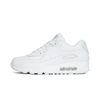 Кроссовки Nike Air Max 90 Leather 302519-113 (true white-true white)