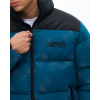 Куртка Anteater Down Jacket Print ant24-downjktprnt-cor (corsair)