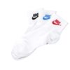 Носки Nike Everyday Essential Ankle SK0110-911 (multi-color)