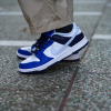 Кроссовки Nike Dunk Low FQ8826-100 (white-football grey-game royal)