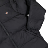 Пуховик Dickies Waldenburg Hooded Jacket DK0A4YEYBLK1 (black)