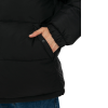 Пуховик Dickies Waldenburg Hooded Jacket DK0A4YEYBLK1 (black)