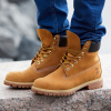 Ботинки Timberland 6 Inch Premium Boot Waterproof 10061W (wheat nubuck)