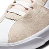 Кеды Nike SB Zoom Bruin Edge CD5036-100 (white-neptune green-vivid orange)