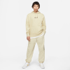 Худи Nike SB Classic GFX Hoodie CV4328-224 (grain-velvet brown)
