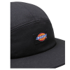 Кепка Dickies Albertville Cap DK0A4XC1BLK1 (black)