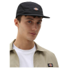 Кепка Dickies Albertville Cap DK0A4XC1BLK1 (black)