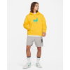 Худи Nike SB Llama Fleece DH3014-739 (university gold-stadium green)