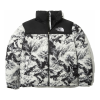 Пуховик The North Face M'S 1996 Novelty Nuptse NJ1DN76A (nutral gray)