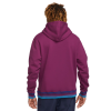 Худи Nike SB LBR Hoodie DH2640-610 (sangria-laser blue)