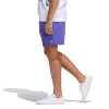 Шорты adidas Skateboarding Shmoo Terry FM1363 (purple-sky tint)