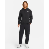 Штаны Nike SB Therma-Fit Winterized Pant DA4195-010 (black)