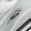 Кроссовки Nike Air Max 90 GTX DJ9779-003 (photon dust-summit white)