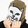 Шапка Ripndip Peeking Nermal Beanie RND8127 (forest)