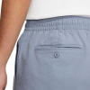 Шорты Nike SB Seersucker PO Chino Short CW7139-493 (ashen slate)