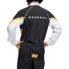 Ветровка adidas Skateboarding Evisen Track Jacket DU3900 (black-white-pyrite)