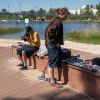 Шорты Larry Pants Larry Shorts LP24-larryshorts-navi (navi)