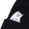 Шапка Ripndip Lord Nermal Ribbed Beanie RND1890 (black)