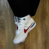 Кеды Nike SB BRSB DH9227-100 (white-varsity red)