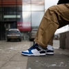 Кроссовки Nike Dunk Low FQ8826-100 (white-football grey-game royal)