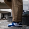 Кроссовки Nike Dunk Low FQ8826-100 (white-football grey-game royal)