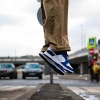 Кроссовки Nike Dunk Low FQ8826-100 (white-football grey-game royal)