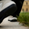 Кеды Nike SB Vertebrae FD4691-101 (summit white-persian violet)