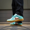 Кеды Nike SB Force 58 DV5477-302 (green frost-dark russet)