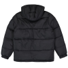 Пуховик Dickies Waldenburg Hooded Jacket DK0A4YEYBLK1 (black)