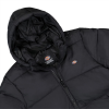 Пуховик Dickies Waldenburg Hooded Jacket DK0A4YEYBLK1 (black)