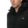 Пуховик Dickies Waldenburg Hooded Jacket DK0A4YEYBLK1 (black)