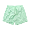 Шорты Nike Woven Shorts AR2382-376 (vapor green)