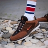 Кеды Nike SB Vertebrae FD4691-200 (cacao wow-dragon red)