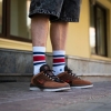 Кеды Nike SB Vertebrae FD4691-200 (cacao wow-dragon red)