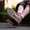 Кеды Nike SB Vertebrae FD4691-200 (cacao wow-dragon red)