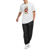 Брюки Nike SB HBR Track Pant CK5254-010 (black-off noir)