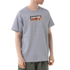 Футболка Thrasher Blaze 311577 (sport grey)