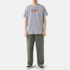 Футболка Thrasher Blaze 311577 (sport grey)