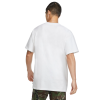 Футболка Nike SB BTS Logo Tee CW1462-100 (white)