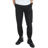 Брюки Anteater Simple Joggers Simple_Joggers-black (black)