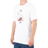 Футболка Nike SB Goose Tee BV7065-100 (white)